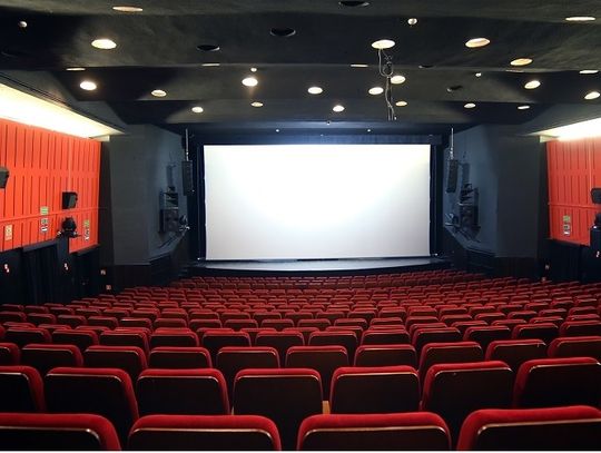 Kalman pokieruje Chadekiem