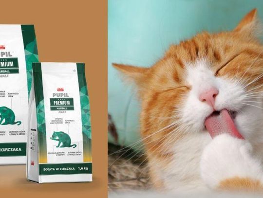 Karma odkłaczająca dla kota — Wszystko, co musisz wiedzieć