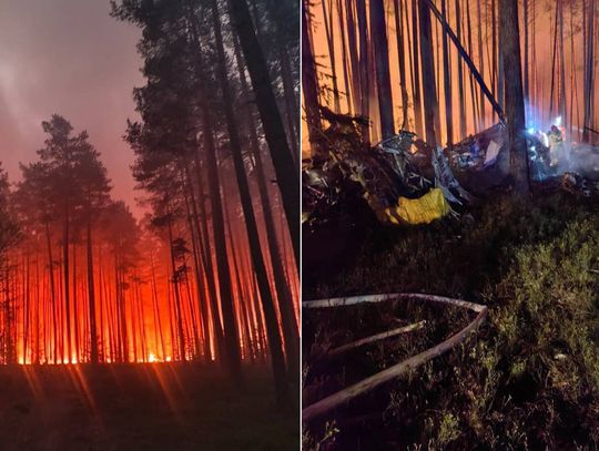 Katastrofa lotnicza podczas gaszenia lasu! Rozbił się samolot gaśniczy. Zginął pilot [FILM]