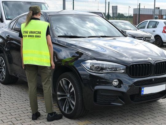 Klon na granicy z Ukrainą. Przejęli go pogranicznicy