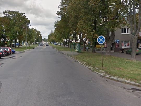 Konserwator ratuje stare drzewa