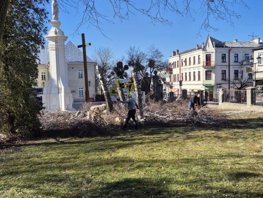 Chełm. Kontrowersje wokół wycinki drzew na terenie parafii pw. Rozesłania Świętych Apostołów
