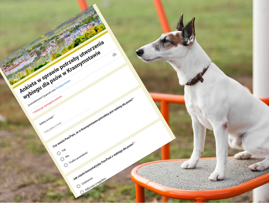 Krasnystaw. Jeszcze go nie ma, a już budzi kontrowersje - mieszkańcy dyskutują o wybiegu dla psów