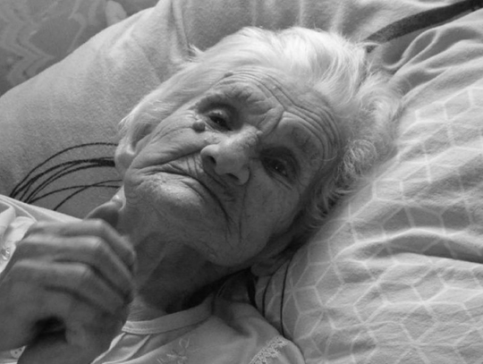 Krasnystaw: 110 lat pani Marianny
