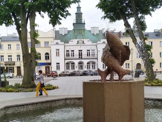 Krasnystaw. Chmielakowy rozkład jazdy i parkingów [WYKAZ]