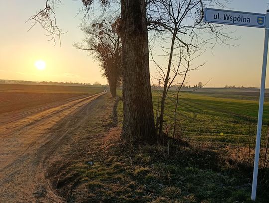 Krasnystaw. Co dalej z przebudową ulicy Wspólnej? Krasnystaw. Co dalej z przebudową ulicy Wspólnej?