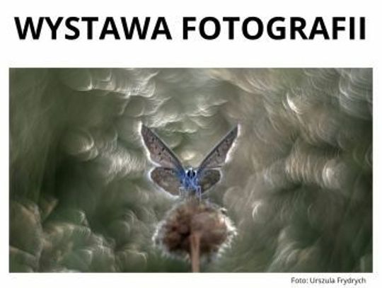 Krasnystaw. Przyrodnicze fascynacje fotografów