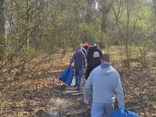 Krasnystaw. Więźniowie wyszli zza krat i sprzątali las