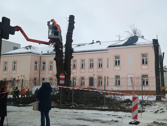 Krasnystaw. Wycinają drzewa przy ZOL-u. Powstanie lądowisko Krasnystaw. Wycinają drzewa przy ZOL-u. Powstanie lądowisko
