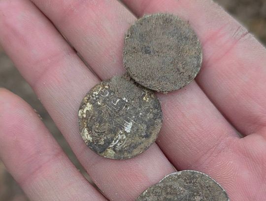 Podczas jednego z wyjść natrafili na cztery srebrne monety z czasów Zygmunta III Wazy. To grosze wybite w 1610 roku.