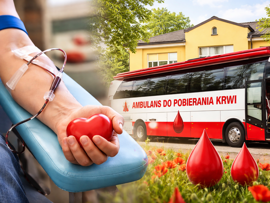 Krew pilnie potrzebna. Akcje RCKiK w Chełmie i Krasnymstawie Krew pilnie potrzebna. Akcje RCKiK w Chełmie i Krasnymstawie