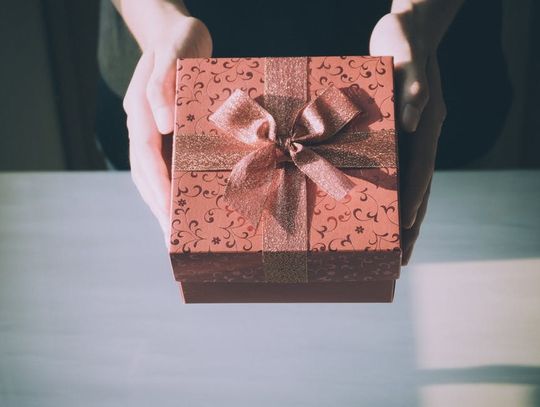 Krokodyla kup mi luby...