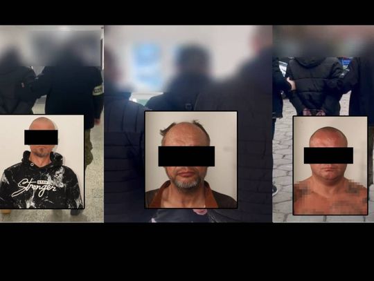 Kryminalni z Krasnegostawu rozbili szajkę działającą metodą „na policjanta” [FILM]