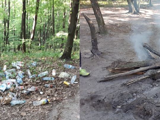 Kumówka rajem śmieciarzy | Super Tydzień