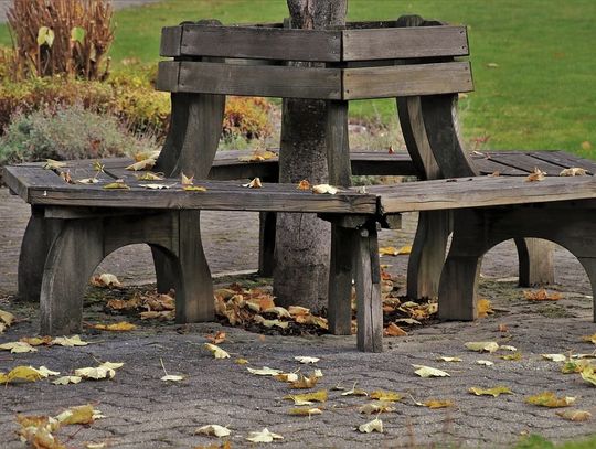 Ławeczki pilnie potrzebne | Super Tydzień