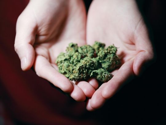 Leczył dzieci masłem z marihuaną