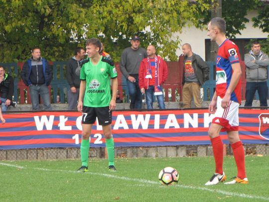 Lewart kusi Więcaszka