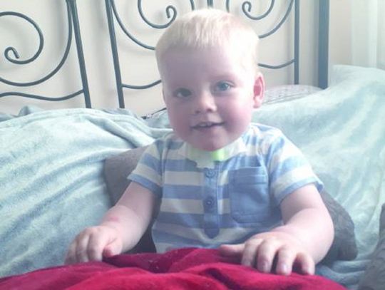 Lokalni artyści dla Miłosza!