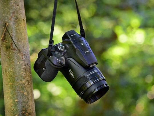 Lubelskie. "Dzika natura w kadrze" - weź udział w konkursie fotograficznym