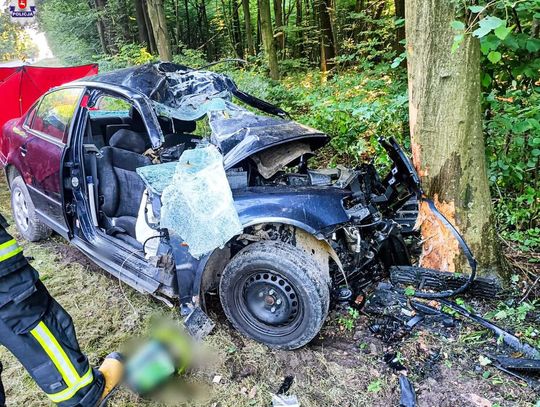 Lubelskie. Uderzył w drzewo. Zginął na miejscu!