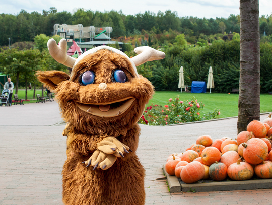 Magiczne Ogrody, ciesz się chwilą...
