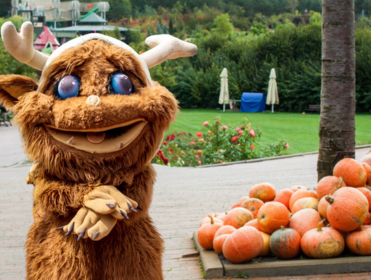 Magiczne Ogrody: Dyniobranie z Mordolem Witkiem