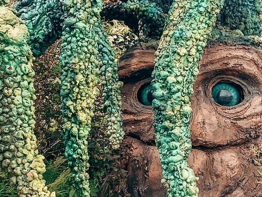 Magiczne Ogrody zapraszają na Festiwal tańca i radości