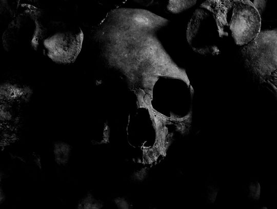 Masowy grób przy Alei Przyjaźni | Super Tydzień