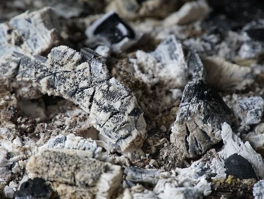 Masz popiół? Masz problem