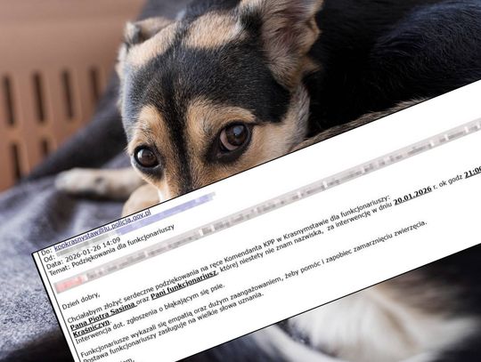 Mieszkanka powiatu krasnostawskiego dziękuje policjantom za uratowanie psa Mieszkanka powiatu krasnostawskiego dziękuje policjantom za uratowanie psa