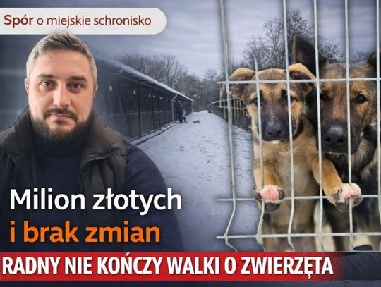 Milion złotych i brak zmian. Radny alarmuje po decyzji Rady Miasta Chełm w sprawie schroniska