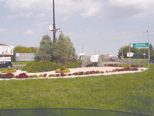 Miś przypomniał o konstytucji