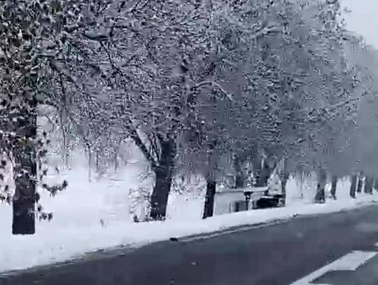 Kierowca dostawczego renault, 22-letni obywatel Ukrainy, nie dostosował prędkości do panujących warunków i wpadł do rowu, przewracając pojazd.