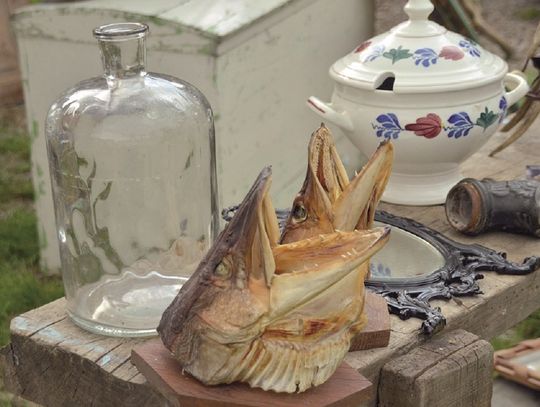 Muzealne Targi Staroci