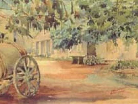 Muzeum zakupi kolekcję | Super Tydzień