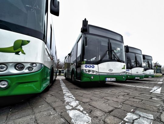 Chełm. Na Niedźwienalia dojedziesz linią nr 20!