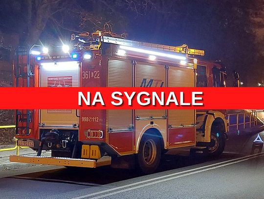 Nagłe zatrzymanie krążenia, pożar traw i sadzy. Miniona doba na sygnale