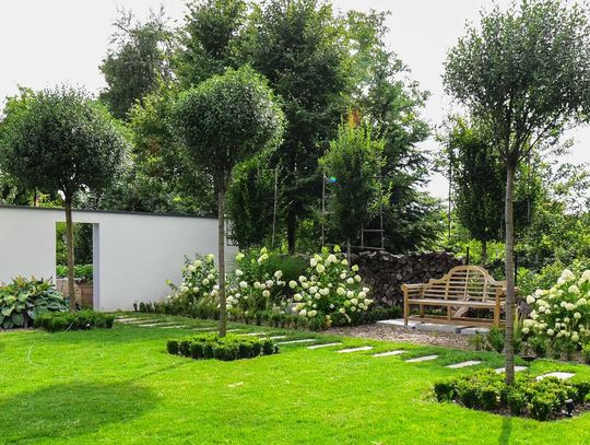 Najprostsze w uprawie drzewa i rośliny owocowe