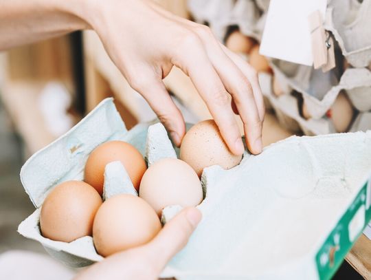 Nasze drogie jaja. Sklepy uspokajają, a producenci ostrzegają: może być gorzej