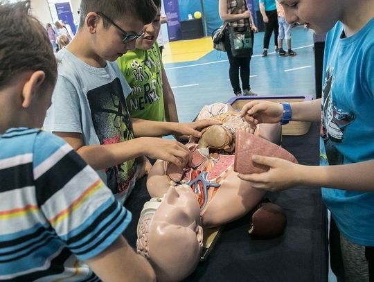 Naukobus będzie w Chełmie! SP7 będzie gościła wystawę "Eksperymentuj!"