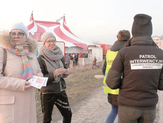 NIE dla cyrkowych emocji ze zwierzętami