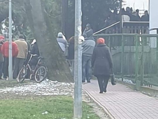 Niestraszna epidemia, gdy dają zasiłek