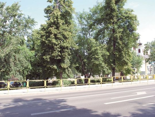 Nietrafione miejsce dla ławeczki Idy | Super Tydzień