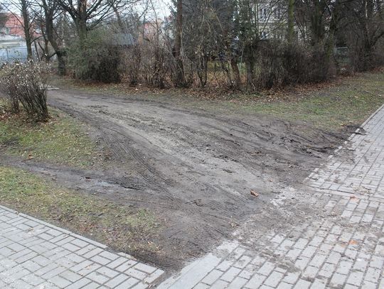 Nocne cyrki na Dyrekcji