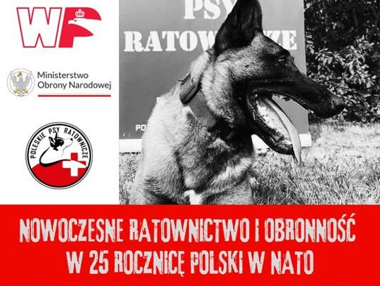 Włodawa. Poleskie Psy Ratownicze zapraszają na szkolenia