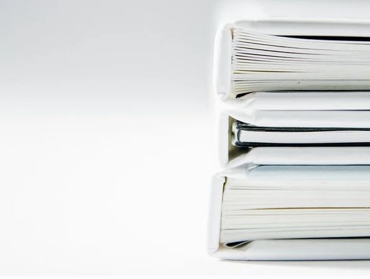 Obelgi radnych online