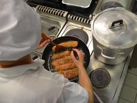 Oferty pracy (06-11-20)