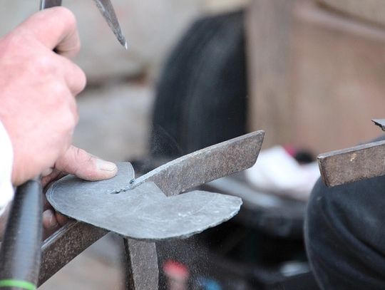 Oferty pracy (17-09-2021)