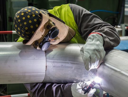 Oferty pracy (28-11-2020)