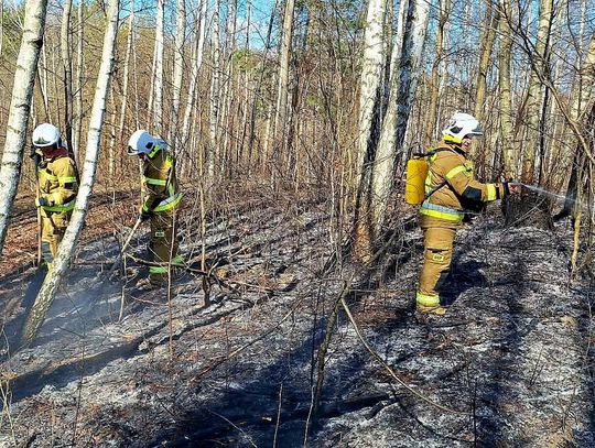 Ogień pełzał w stronę lasu w Bononii! Pilot i strażacy uratowali gminę Goraj przed katastrofą